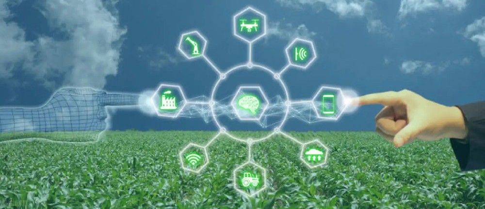 Интеллектуальное сельское хозяйство IoT (1).jpg