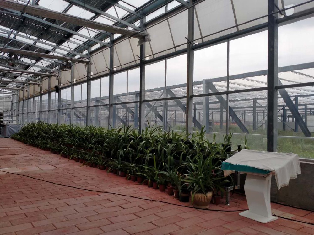 Интеллектуальная теплица greenhouse.jpg