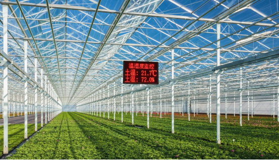 Интеллектуальная теплица greenhouse.png