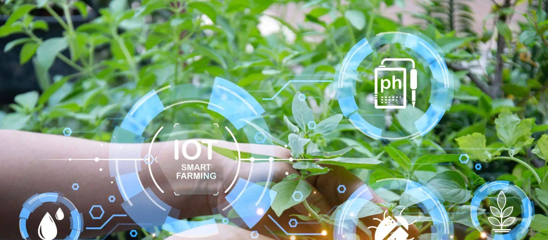 Сельскохозяйственная облачная платформа IoT.jpeg