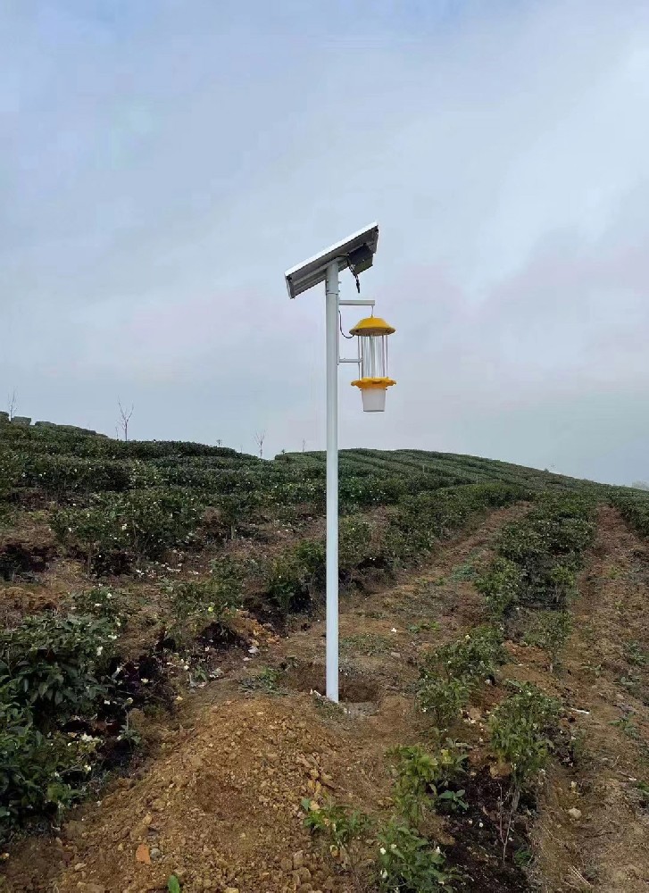 Тест эмоций насекомого IoT light.jpg
