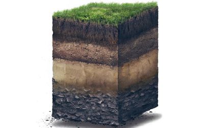 Impact of soil moisture at different depths on crop growth.jpeg