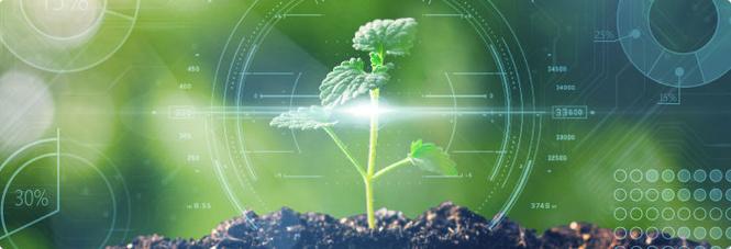 Crop Growth Prediction with Data (2).jpeg