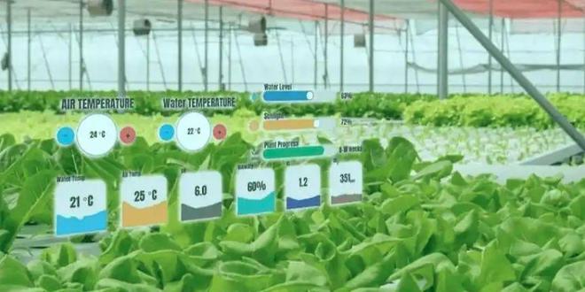 Crop Growth Prediction with Data (4).jpeg