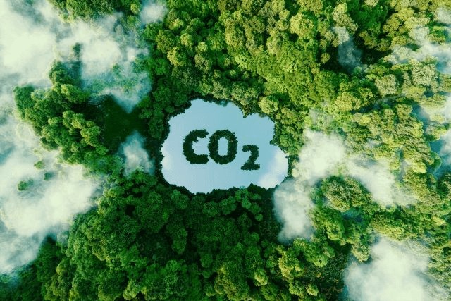 Сценарии применения датчика CO2.jpg