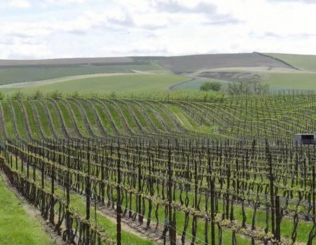 Latin America (1).jpeg