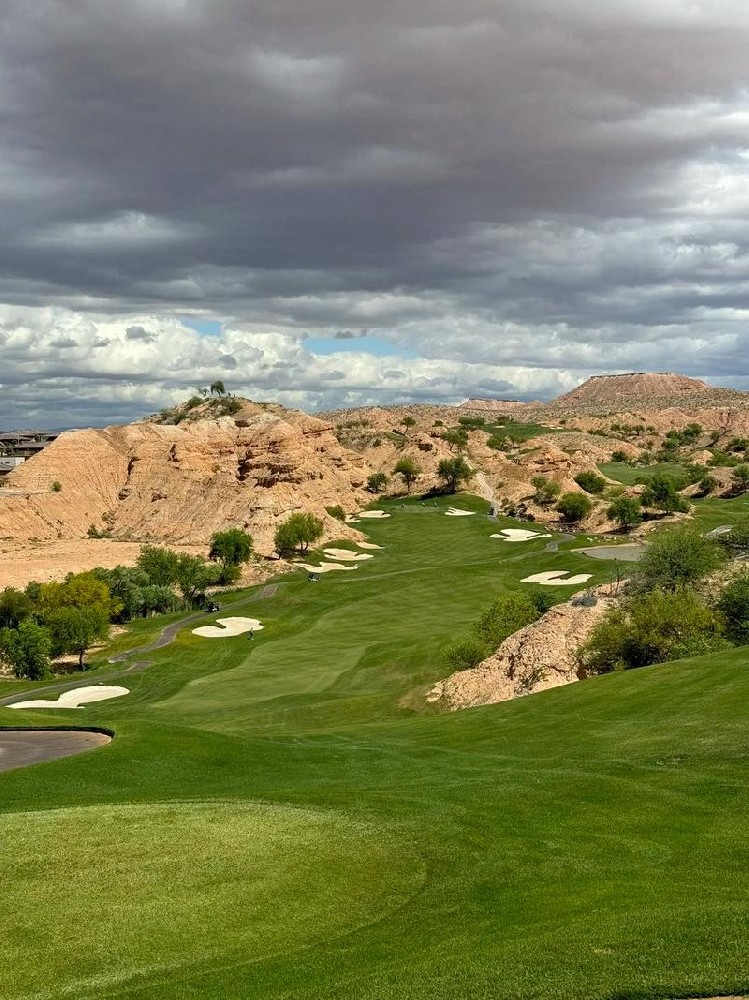 Reshapes Smart Desert Agriculture.jpeg