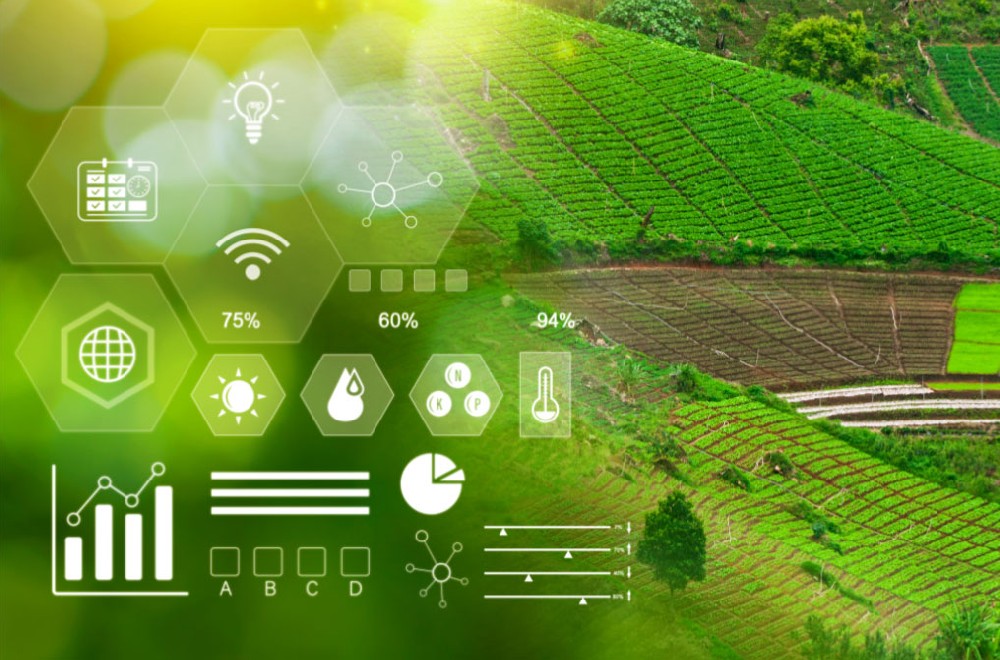 Smart Farm Management.jpg