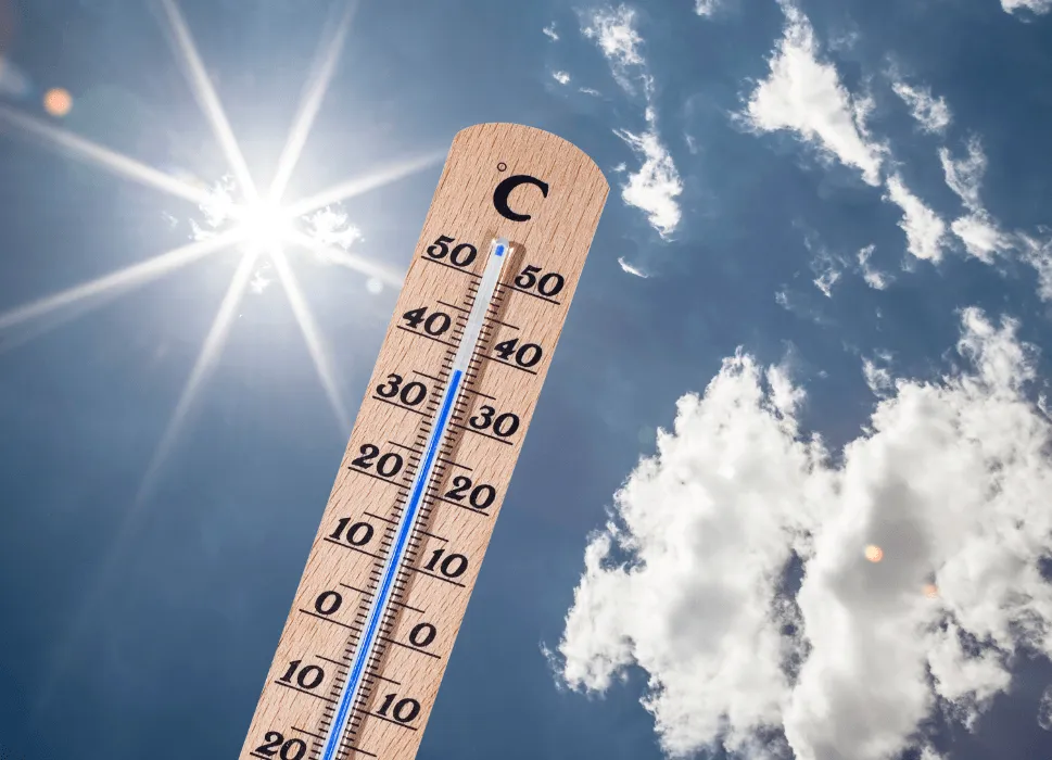 Climate Research & Meteorological Network .png