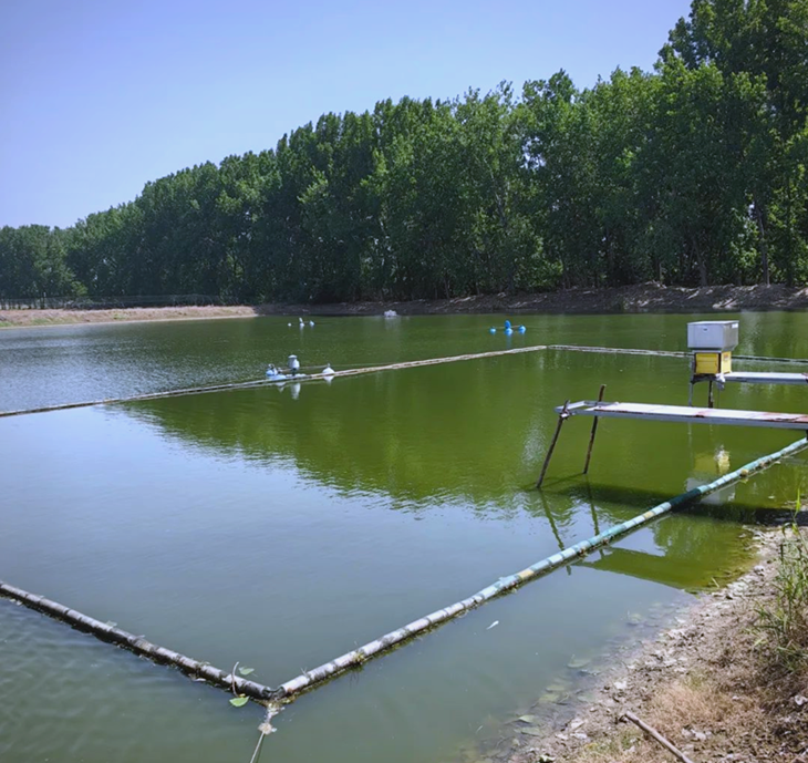 Aquaculture ponds.png Aquaculture ponds.png