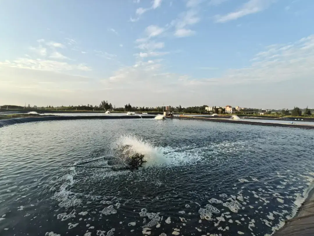Aquaculture ponds.png Aquaculture ponds.png